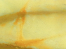giallo-siena-avorio